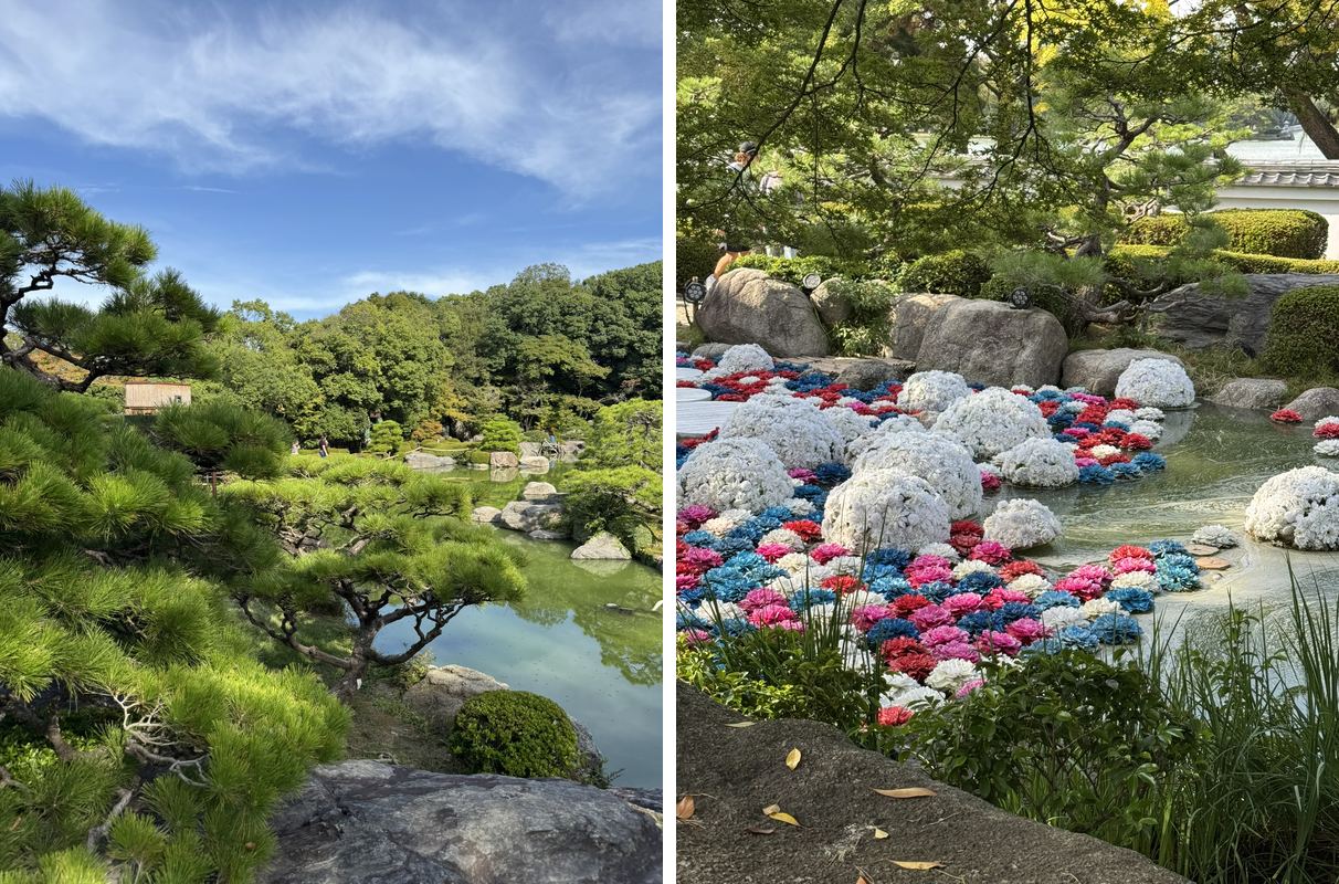 Left: a Japanese garden pond surrounded by sculpted pines. Right: floating balls of red, white and blue flowers in the garden pond